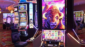832bet